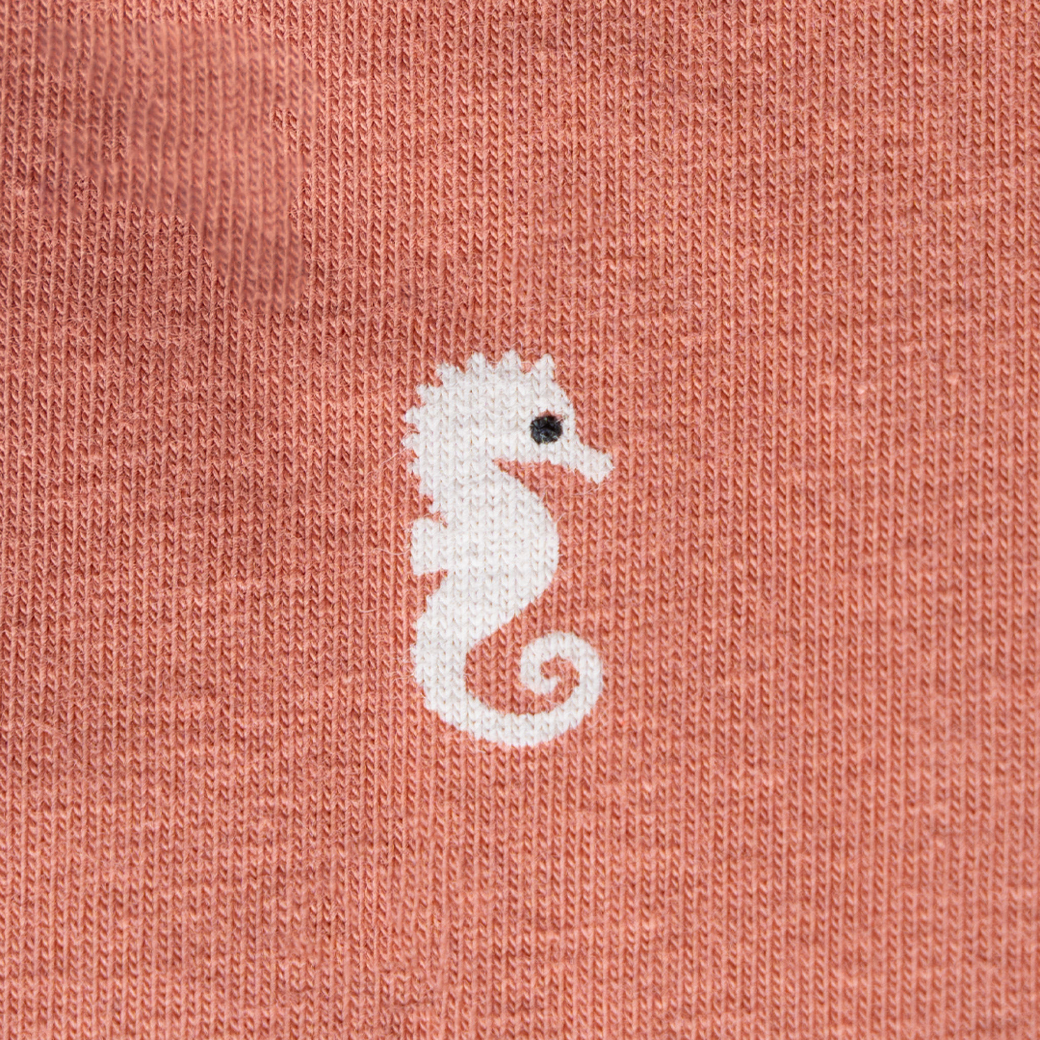 mini-explorer-salmon-1.jpg