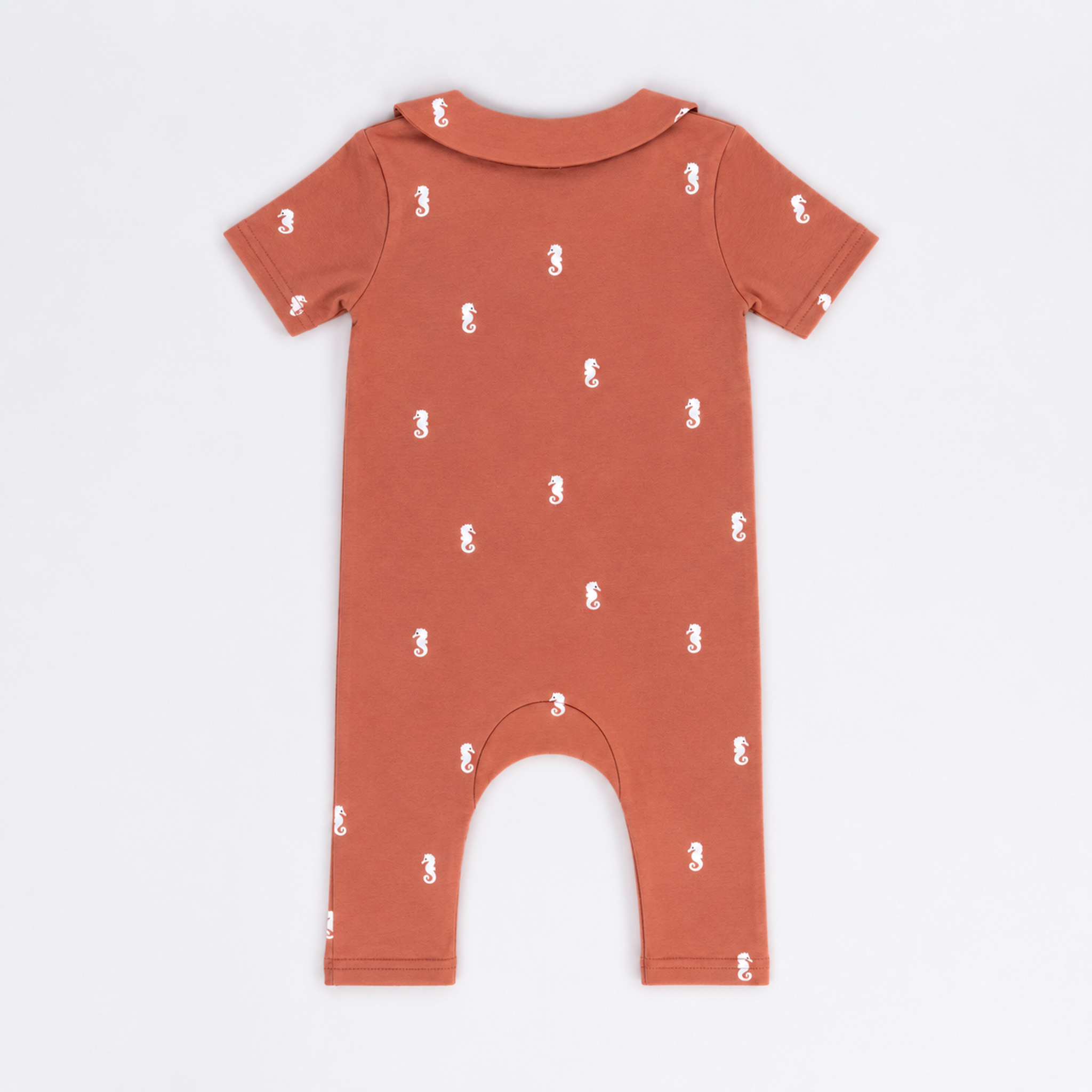 mini-explorer-salmon-3.jpg
