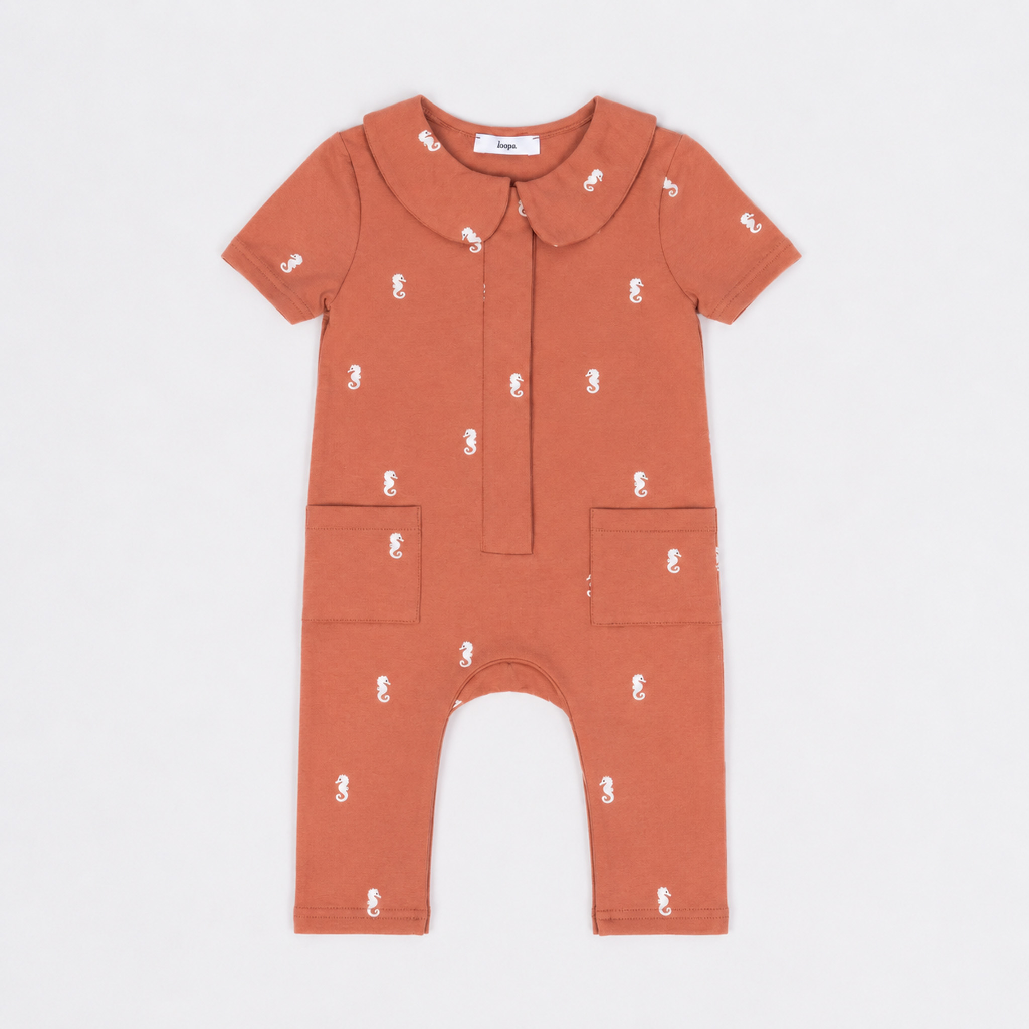 mini-explorer-salmon.jpg